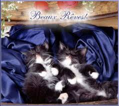 Résultats de recherche d'images pour « gifdoucenuit »