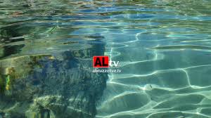 Rezervasyondan sonra telefon numarası ve adresi de dahil olmak üzere tesise ait tüm bilgiler. Mare Laghi E Spiagge L Abruzzo Conferma Le Sue Bandiere Blu