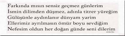 Figen Ismine Ozel Akrostis Siir Akrostis Siirler Guzel Soz Siir