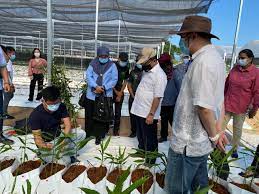 Jabatan pertanian negeri sembilan tingkat 3, blok d, wisma negeri, jalan dato' abdul malek, 70503 seremban, negeri sembilan. Department Of Agriculture Negeri Sembilan Main