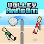 Volleyball game from www.crazygames.com