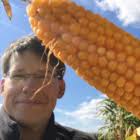 Opheffen Productschappen én Ministerie van Landbouw leidt…