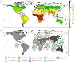 map shows hotspots for bat human virus transmission risk