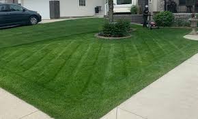 Pat's nw mower centre located in nw calgary 7750 ranchview dr. Lawn Care Snow Removal In Nw Calgary Legendary Lawns