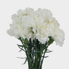 White anemone white roses white flowers floral bouquets wedding bouquets wedding planning inspiration wedding ideas arizona wedding pink and gold. White Flowers Wholesale Bulk Flowers Blooms By The Box