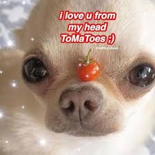 I Cleaned My Whole Room And Im Happy Lovememes Crushmemes Boyfriendmemes Girlfriendmemes Heartmemes Pureme Cute Love Memes Crush Memes Cute Memes