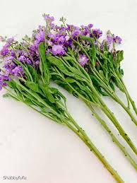 Check spelling or type a new query. Tips For Buying Arranging Inexpensive Grocery Store Flowers Shabbyfufu Com