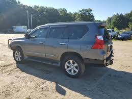 Image result for Knights Armor 2013 GX