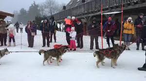 Les durées de nos forfaits sont des heures pleines dans nos sentiers (du départ au retour au chenil). Station Du Lac Blanc Course De Chiens De Traineaux Facebook