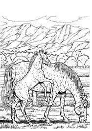 Pdf generator, jpg file, a4 size free to download Pin On Horses