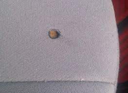 Cigarette burn holes in car seats not only lead to embarrassing situations but can also bring down the resale value of your car. Cloth Car Seat Cigarette Burn Hole Repair Cigarette Burn Hole Repair Before Fibrenew Oakville Burlington
