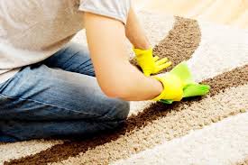 433 x 353 jpeg 223 кб. 7 Household Carpet Cleaners You Probably Have In Your Home Diy Lifestyle