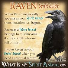 Symbolism Birds And Their Meanings Raven Symbolism Meaning Animal Totem Spirit Guides Spirit Animal Totem Animal Spirit Guides