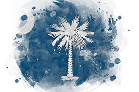 The first south carolina state flag was created in 1775 in response to a request for a flag by the state's troops who were fighting during the revolutionary war. South Carolina State Flag Watercolor Digital Art By Mark Miglionico