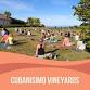 Yoga & Wine