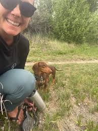 Are there any dog owners in Breck with dogs that are good with small dogs  and want to meet up?