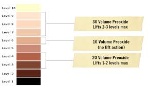 How To Choose A Developer Toner And More Toner For Bleached Hair Wella Toner Wella Hair Color
