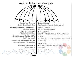 Natural Environment Teaching How To Aba