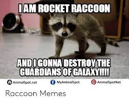 Iam Rocket Raccoon Andigonna Destroythe Guardiansofgaaxy Animalspotnet Myanimalspot D Animalspotnet Raccoon Memes Meme On Me Me
