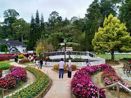 With new google earth plugin you can enjoy the interactive. 16 Lokasi Wajib Singgah Kalau Bercuti Di Cameron Highland Vanilla Kismis