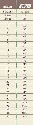 Dog Age Chart Dog Years To Human Years Dog Ages Dog Years Dog Age Chart