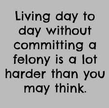 No Criminal Record Inspring Quotes Silly Quotes Recovery Quotes
