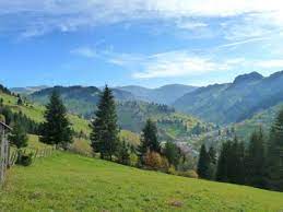 Set in a minimalist décor, each room has cable tv and bathroom amenities. About Moeciu De Sus Transylvania Rural Tourism