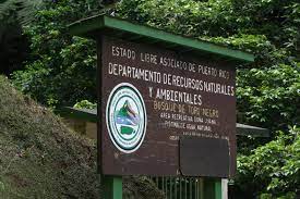 Toro negro state forest is one of the 21 forests that make up the public forests system in puerto rico. Toro Negro State Forest Wikiwand