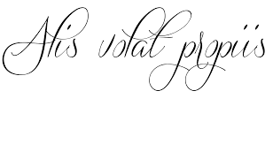 Alis Volat Propiis She Flies With Her Own Wings Tattoo Designed Latin Tattoo Foot Tattoos Arm Tattoo