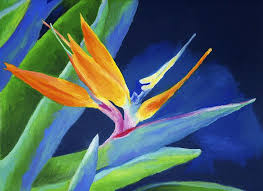 Painting Oil Painting Bird Of Paradise Flower Bird Of Paradise Print By Stephen Anderson Paradise Painting Flower Art Birds Of Paradise