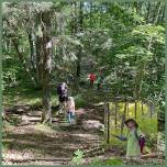 Guided Hike in the Wild Heart of Madeline