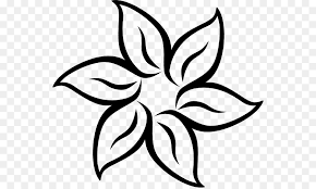 Disegni quanto a tinteggiare delle lol surprise forumforyouit. Fiore Disegni Schizzo Scaricare Png Disegno Png Trasparente Bianco Png Scaricare