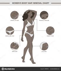 Infographic With Womens Body Hair Removal Chart Stock