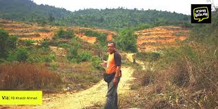 5 10 15 20 50 100 all. Bekas Wartawan Buat Pendedahan Berani Mati Tentang Masalah Tanah Haram Di Pahang