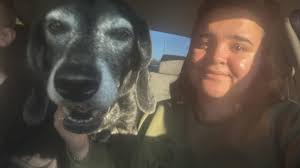 Found Dog near Chuluota, FL