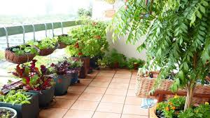 10 Terrace Garden Ideas Most Awesome And Stunning Balcony Garden Ideas Vegetables Balcony Herb Gardens Terrace Garden Design