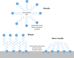 Start studying pfas general structures. 5 Environmental Fate And Transport Processes Pfas Per And Polyfluoroalkyl Substances