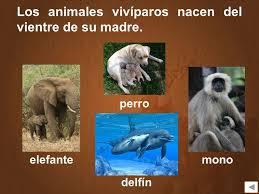Imagen relacionada