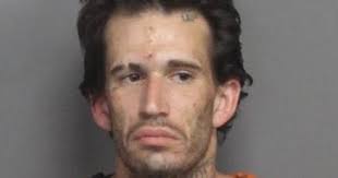 Arrest Report for March 24