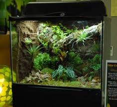New England Herpetoculture Llc Enclosures Glass Vivarium Terrarium Zoo Med
