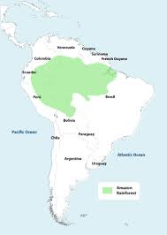 Most of the forest loss has occurred in the amazon rainforest where large tracts of land are being cleared for cattle ranches, and to a lesser degree, other forms of agriculture like industrial soy farms. Amazon Rainforest Map Peru Explorer
