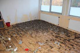 Wände, decken und böden, sowie die gesamte inneneinrichtung mussten ausgetauscht werden. Entrumpelung Von Hausern Wohnungen Keller Dachboden In Hannover