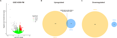 Identification of potential crucial genes and key pathways in osteosarcoma 