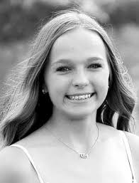 Litchfield Council Learns About Street Project Delays