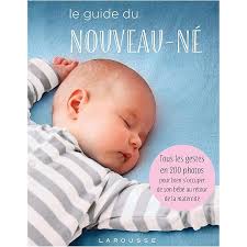 Le grand livre de ma grossesse : Collège national gynécologues, Hédon, Bernard,  Evrard, Nicolas, Belaisch Allart, Joëlle, Thyss, Frédérique: Amazon.nl:  Books