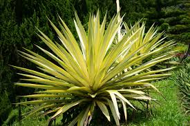 images?q=tbn%3AANd9GcS2QP4YBcGKeGeEWcXObMoaDBqMXe26jM1BAw&usqp=CAU