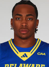 DELAWARE BLUE HENS