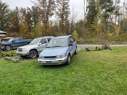 Image result for Peacock Green 1993 Colt