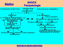 Fisiopatologia de sepsis segun criterios del 2013, respuesta inflamatoria sistemica. Concepto Es Un Estado De Hipoperfusion Tisular Que Se Produce Por Una Mala Relacion Entre El Consumo Tisular De Oxigeno Vo2 Y Su Transporte Do2 Ppt Descargar