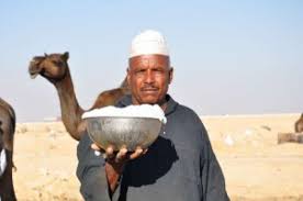 Fever is from the heat of hell. The Cure In Camel Milk A Miraculous Medicine